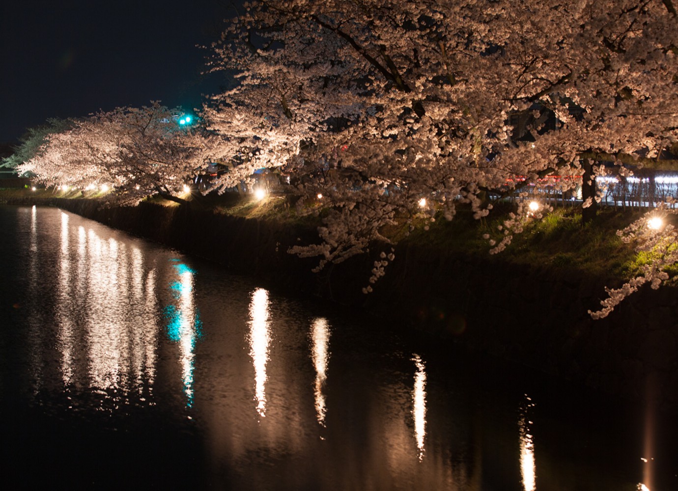 松本城お堀の夜桜