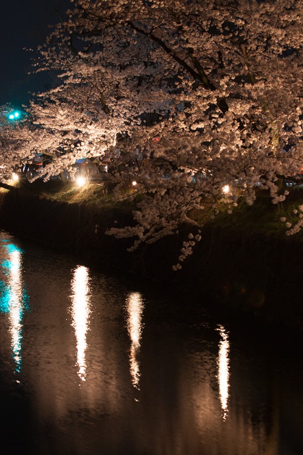 松本城お堀の夜桜