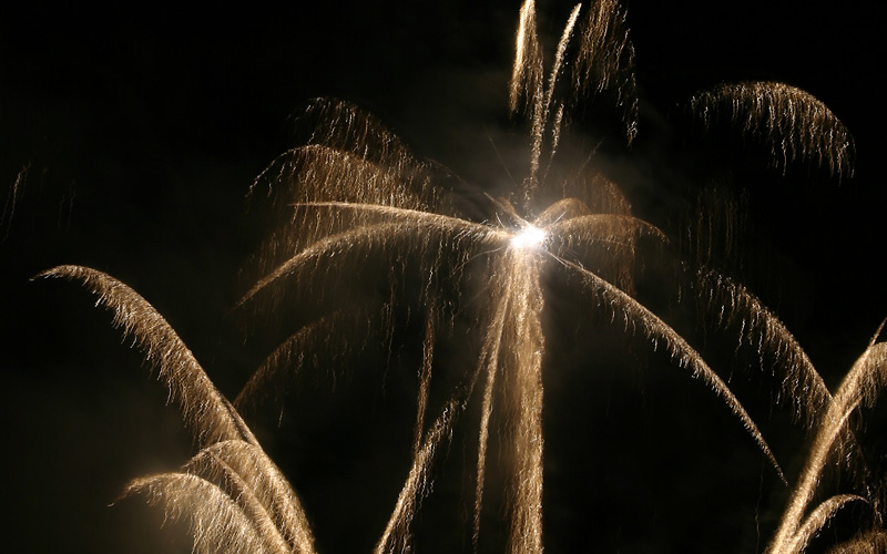 06